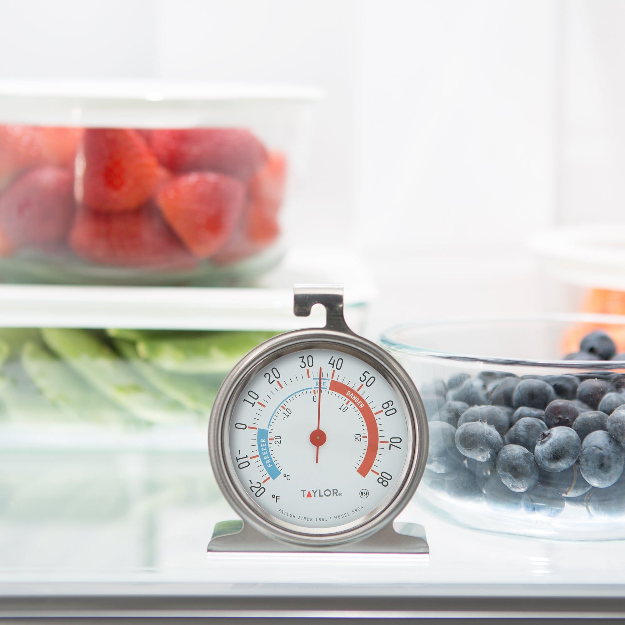 Refrigerator Thermometer – Better Houseware
