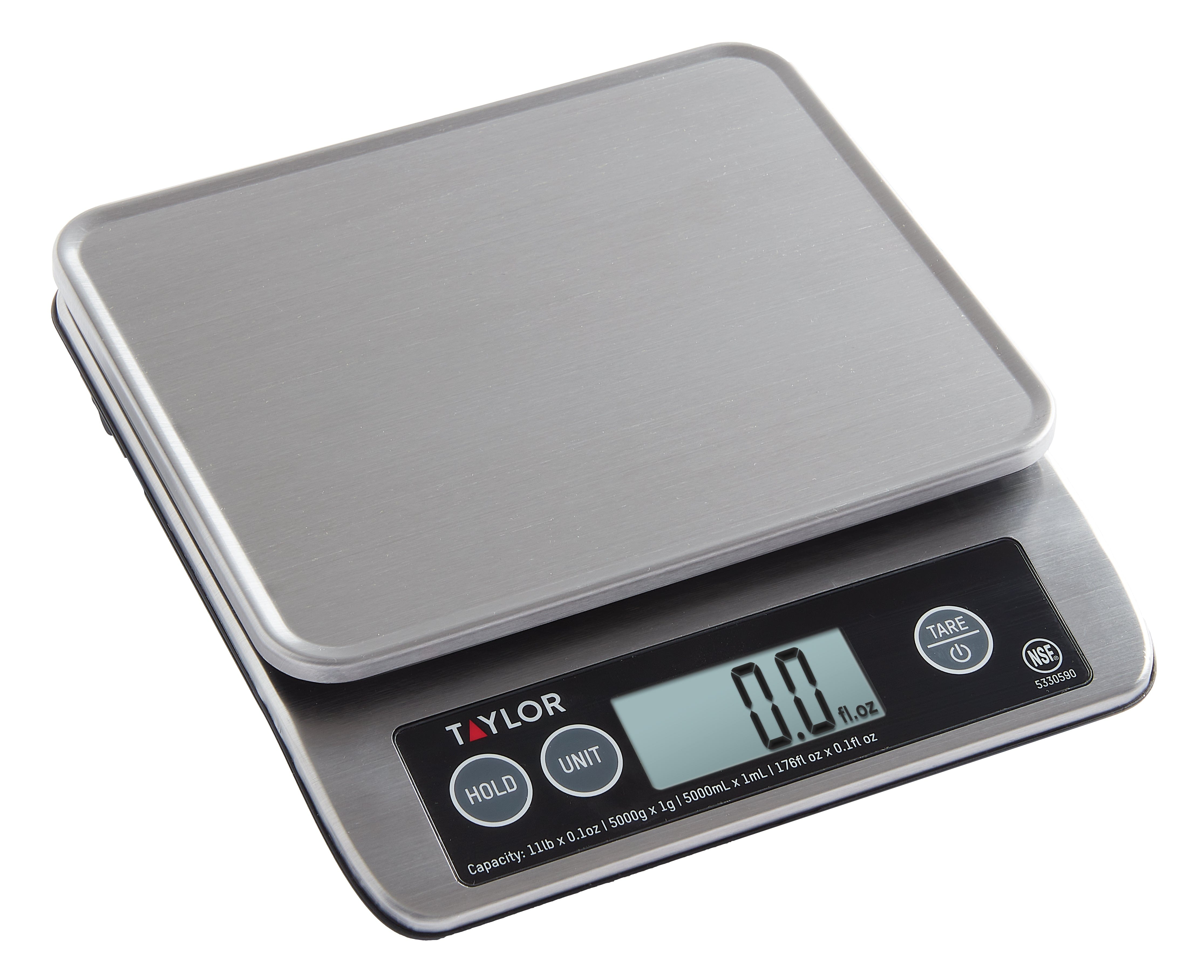 Stainless Steel Scale