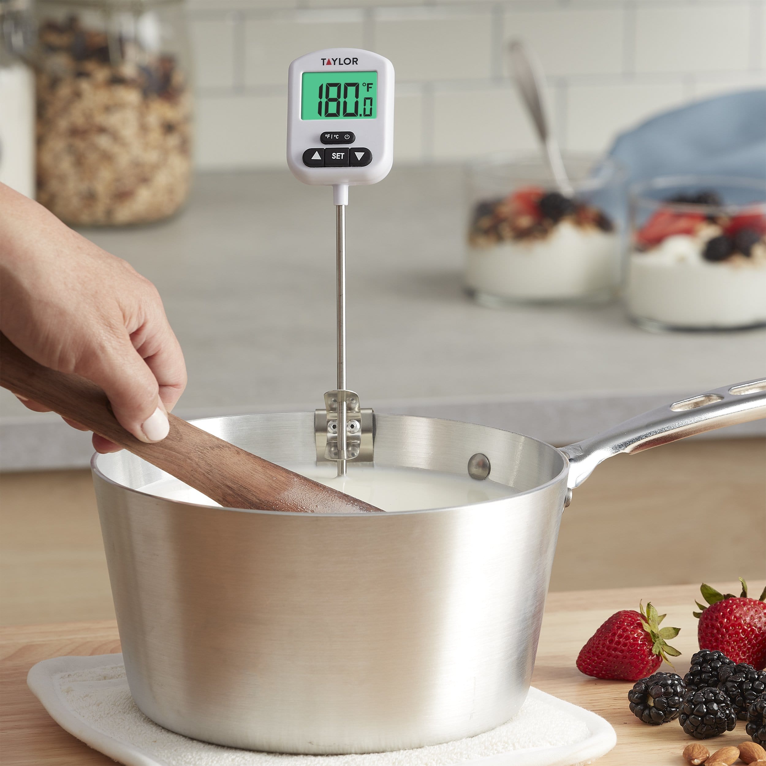 Programmable Digital Candy / Deep Fry Thermometer