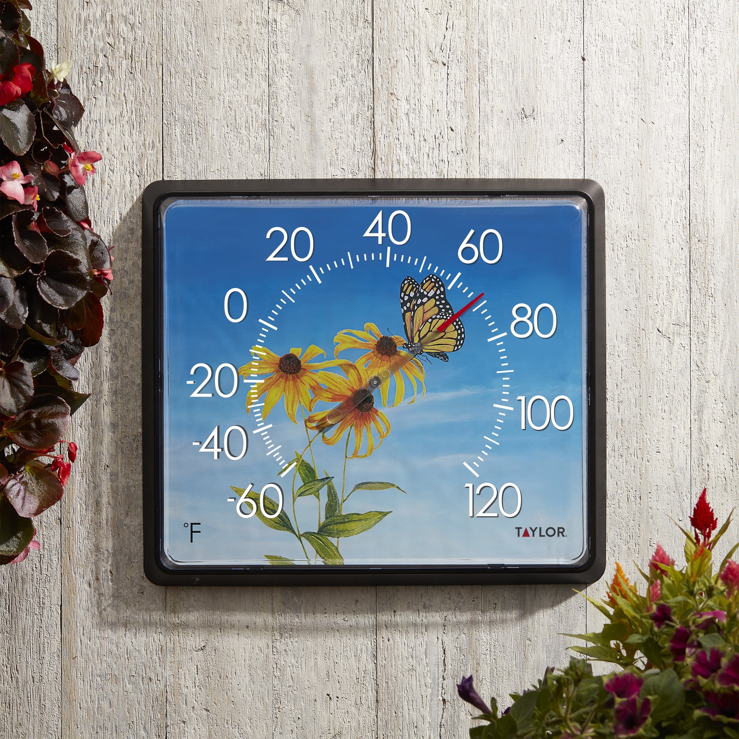 12" x 14" Dial Thermometer, Butterfly