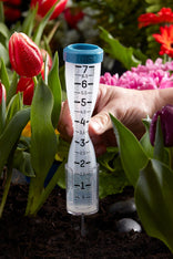 Water Rain Gauge Clear Plastic Weather Garden Accurate Temperature Tem —  AllTopBargains