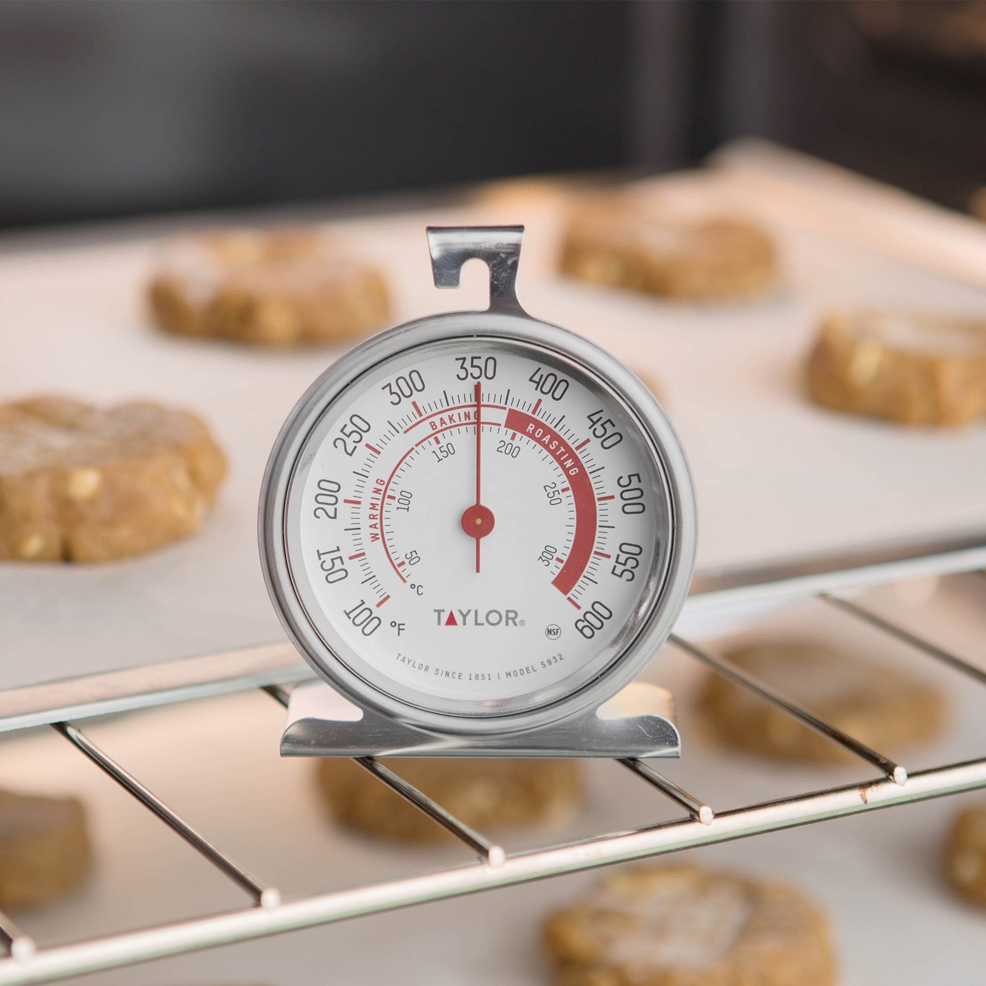 Analog Dial Oven Thermometer