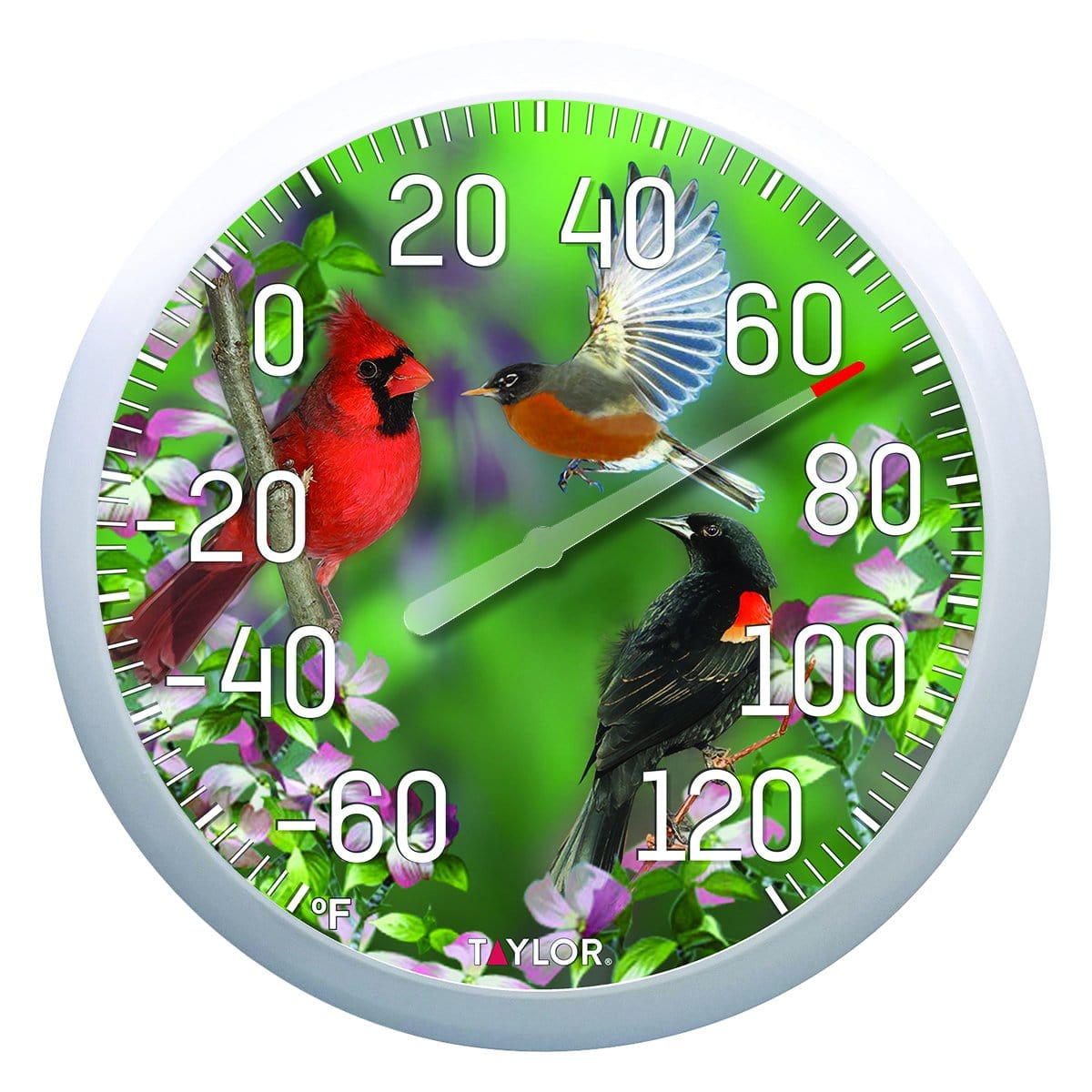 13.25" Dial Thermometer, Spring Birds