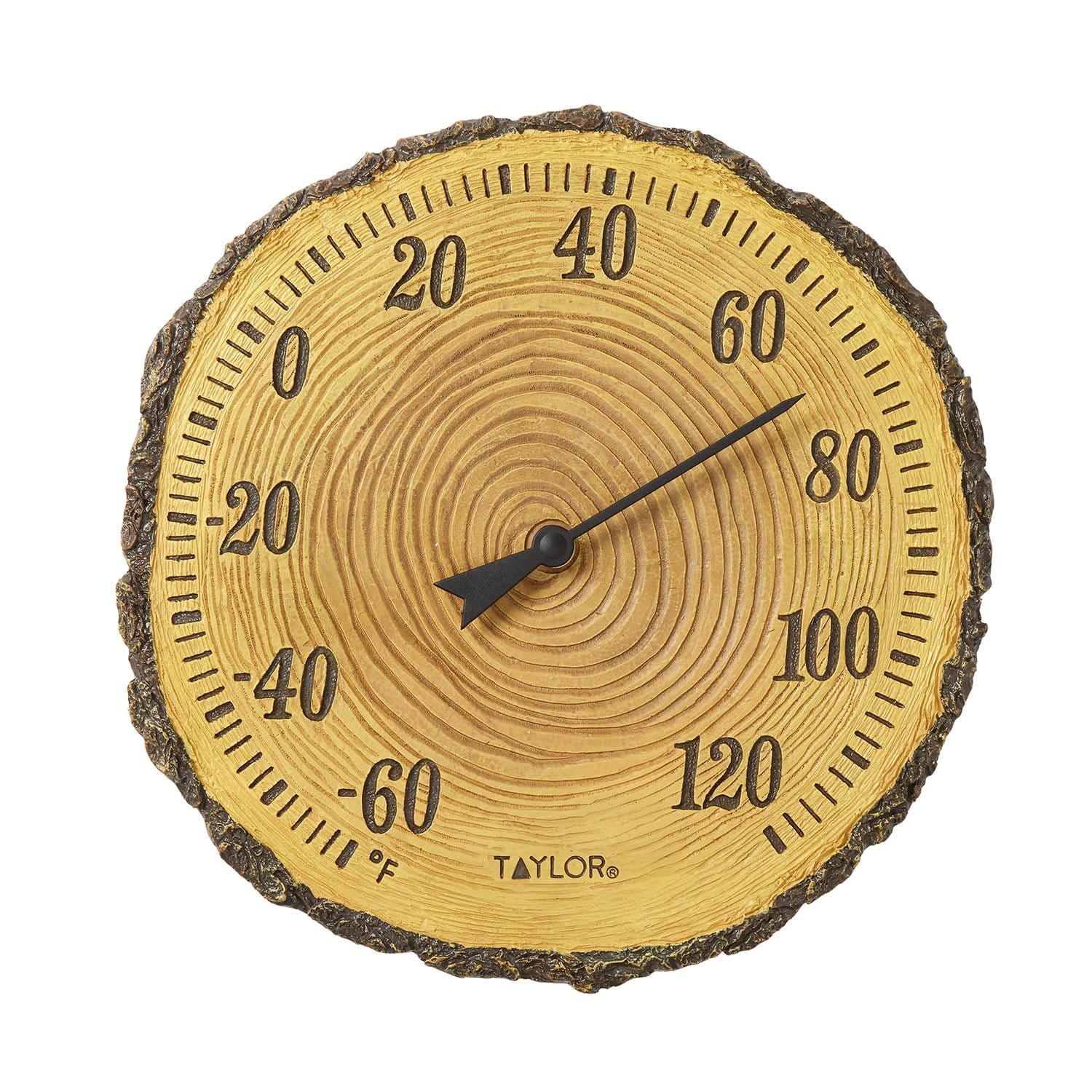 12" Tree Trunk Cross Section Thermometer