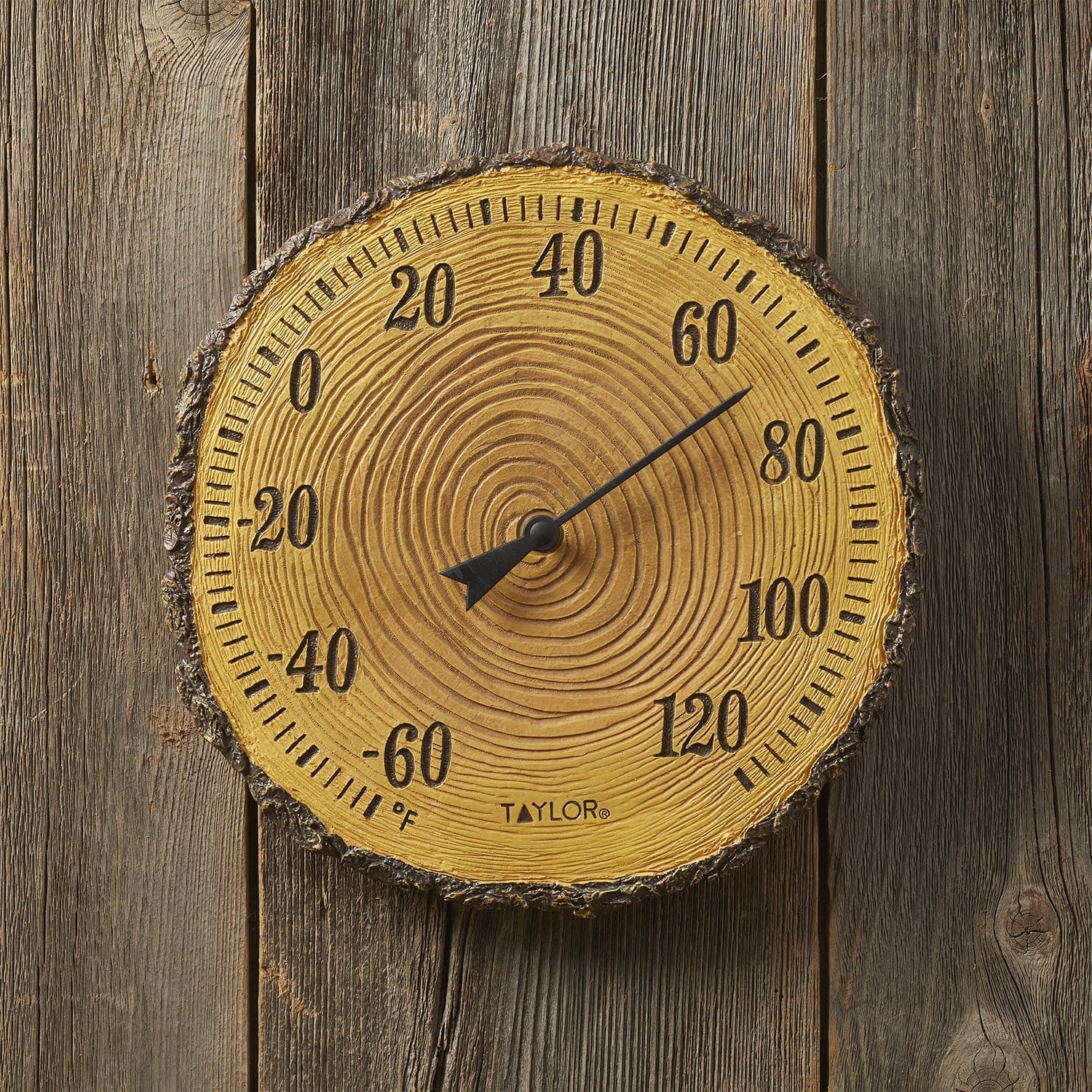 12" Tree Trunk Cross Section Thermometer