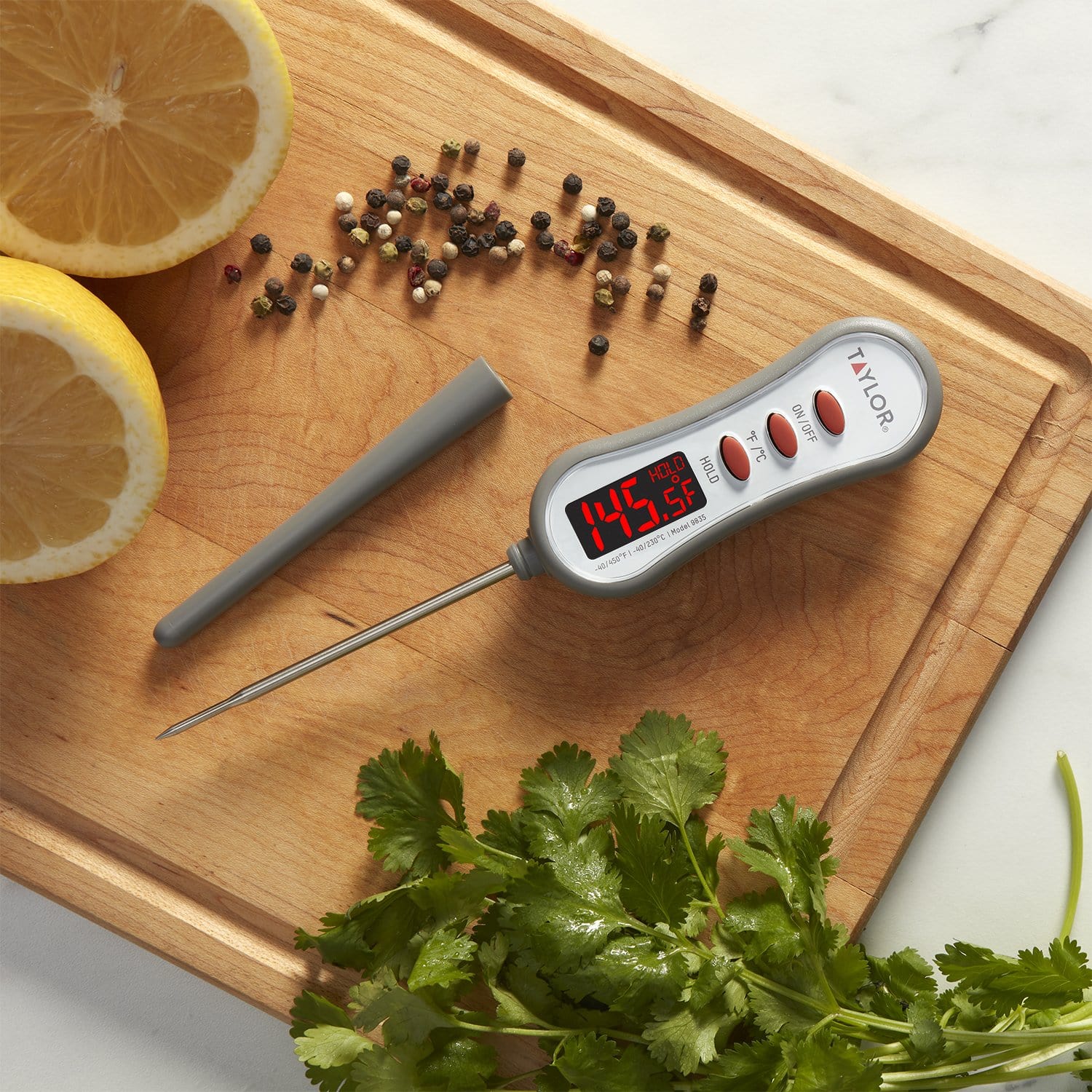 LED Readout Thermometer