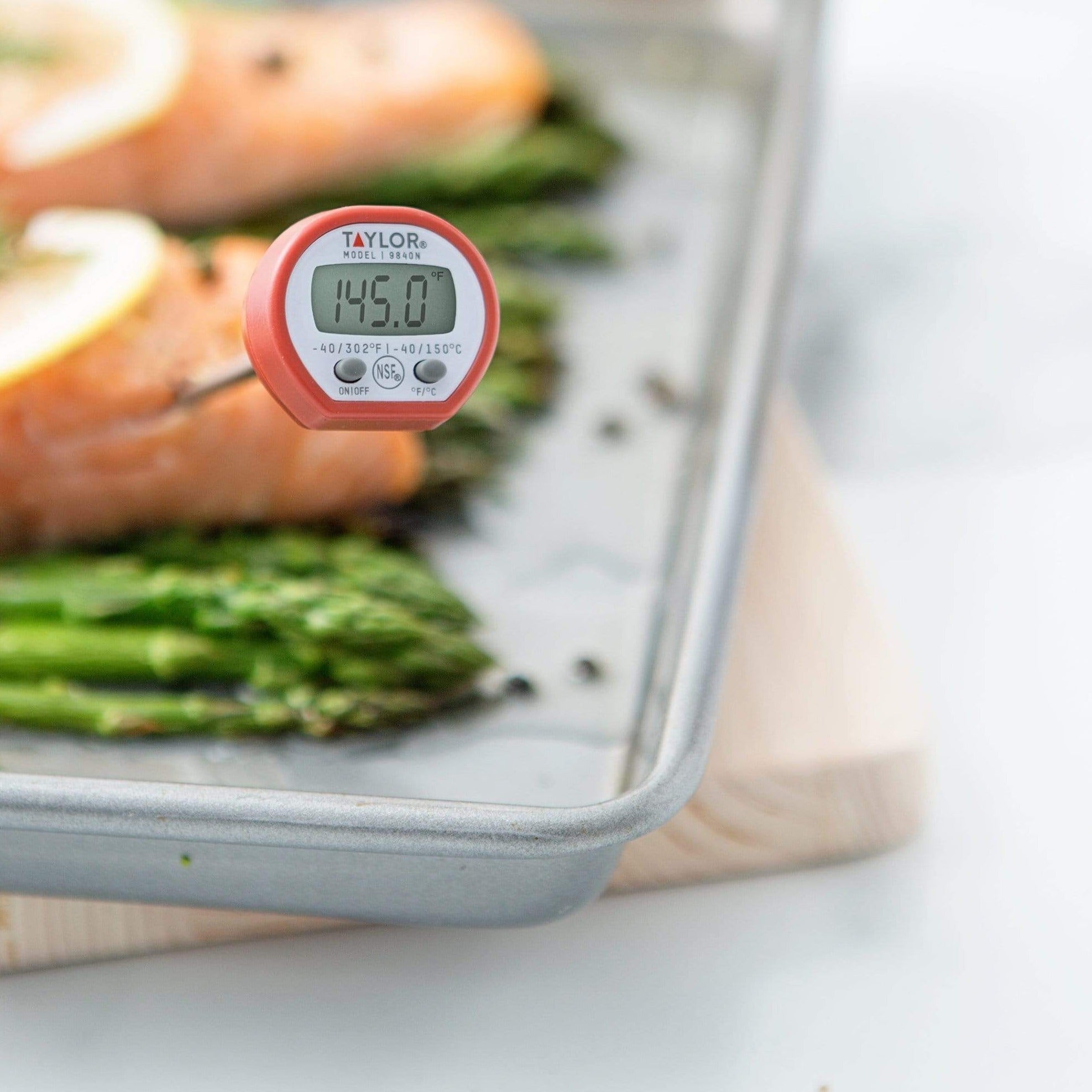 Instant Read Thermometer