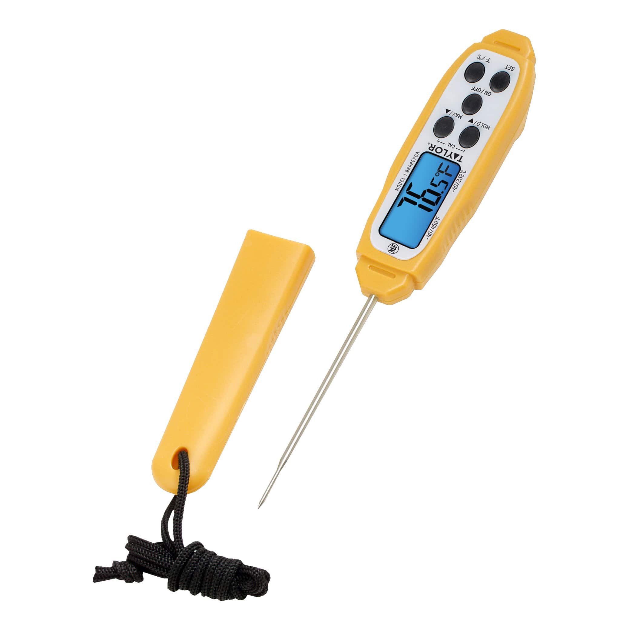 Waterproof Digital Thermometer